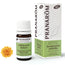 Pranarom Oils Yellow Immortelle Essential Oil Bio 5Ml.