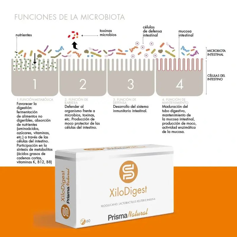 Prisma Natural Xilodigest, 60 Capsules