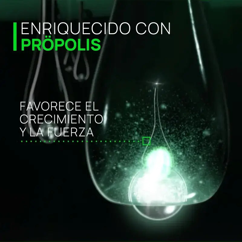 René Furterer Triphasic Reactional Ampoules Pack 5 ml x 12 Ampoules