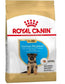 Royal Canin Junior Pastor Aleman 12Kg, pienso para perros