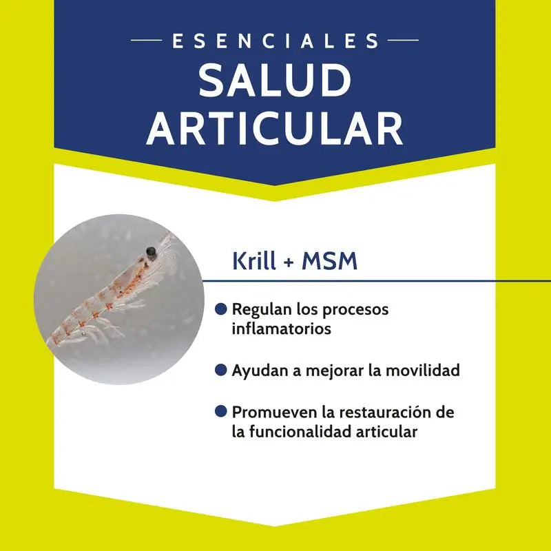 Stangest Chondrocare 90 Tablets