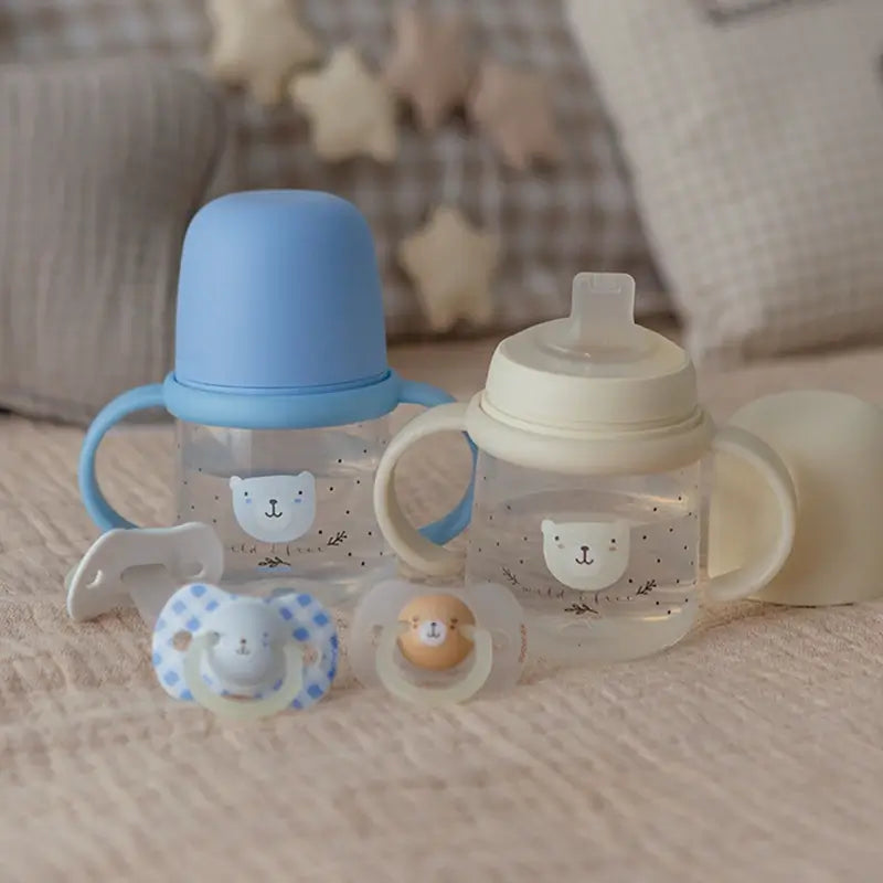 Suavinex Night & Day Night Soothers Sx Pro Teat 0/6 Months Blue, 2 units