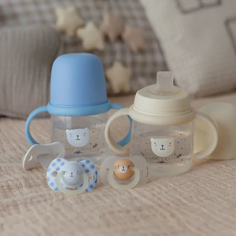 Suavinex Night & Day soothers Night & Day Teat Sx Pro 0/6 Months Grey, 2 units