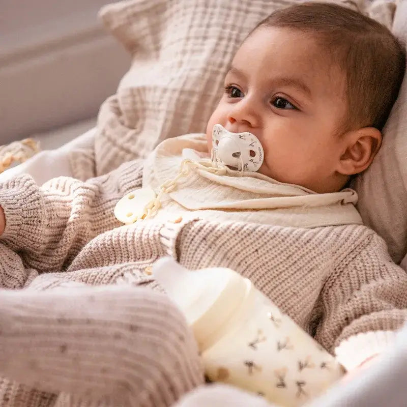 Suavinex Pacifiers Sx Pro Teat 0/6 Months Birdies Beige, 2 units