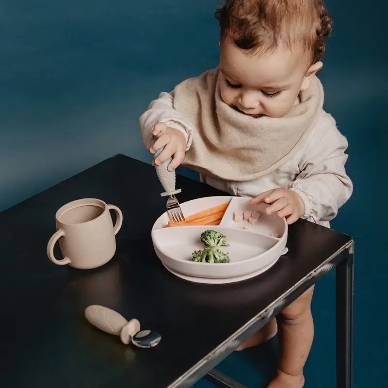 Suavinex Silicone Plate With Suction Cup And Divisions, +6 Months, Beige