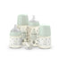 Suavinex Baby Bottles and Soother Gift Set Pink +0M Birdies Green