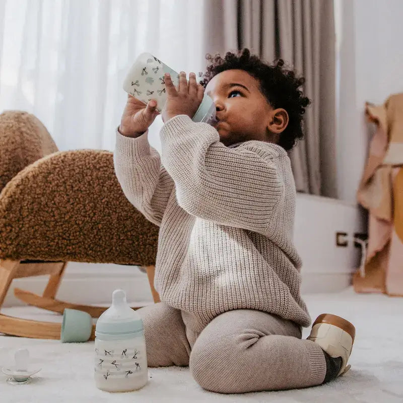 Suavinex Baby Bottles and Soother Gift Set Pink +0M Birdies Green