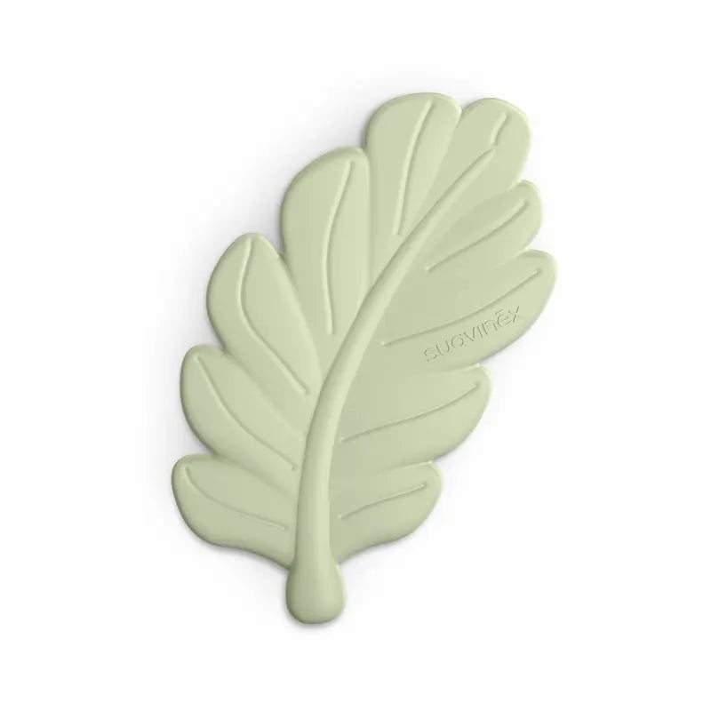 Suavinex Gift Set Soother + Pacifier + Bottle 270 Ml (M) + Teether, Green