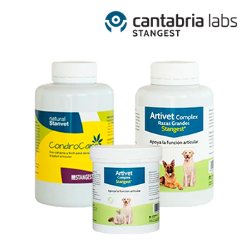 STANGEST CONDROCARE Y ARTIVET 20% DTO. (31 ENERO 2026)