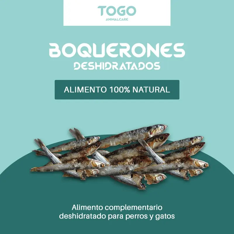 Togo Snack Natural Dried Anchovies, 1 pc.