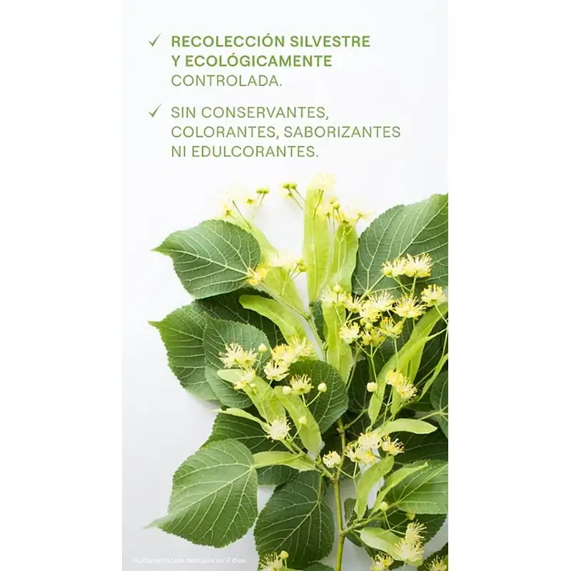 Weleda Birch Juice, 200 ml