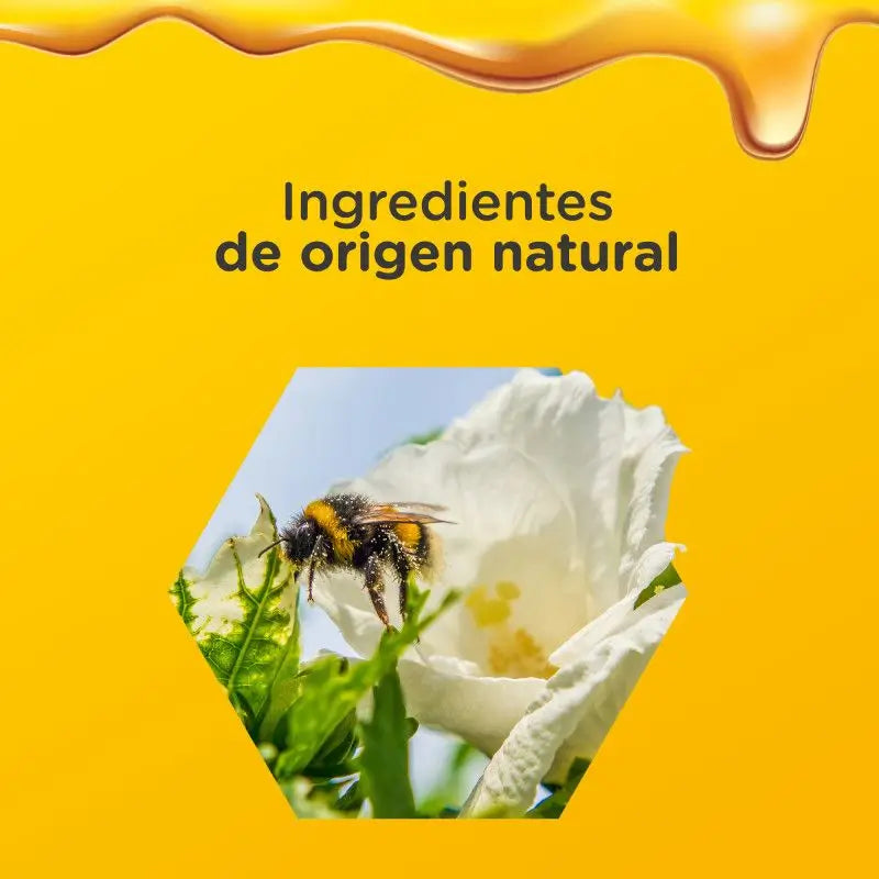 Zarbee's Children's Immune Syrup Extra Immunity with Honey, 120ml